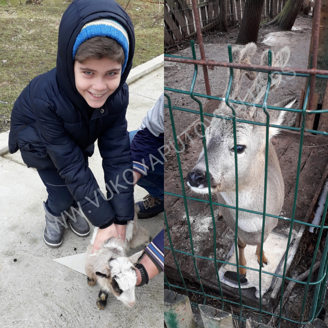 Post Vodopad ljubavi/fotka 11 Nasmejani dečak sa zimskom jaknom teget boje drži malo jagnje i jelen