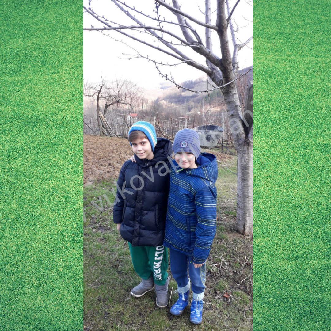 Vuk i Ogi Dva zagrljena dečaka u zimskim jaknama i kapama u prirodi